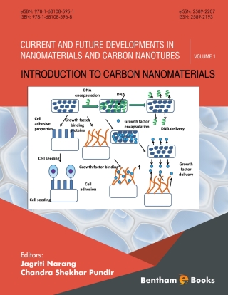 Titelbild: Introduction to Carbon Nanomaterials 1st edition 9781681085968