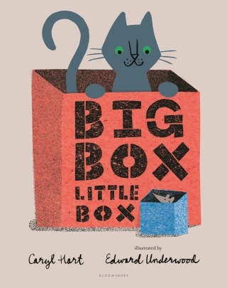 Cover image: Big Box Little Box 1st edition 9781681197869