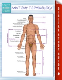 Imagen de portada: Anatomy Terminology (Speedy Study Guides) 9781681279411
