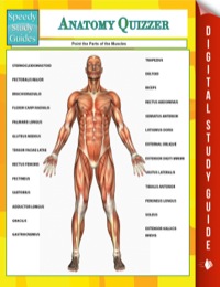 表紙画像: Anatomy Quizzer (Speedy Study Guides) 9781681279800
