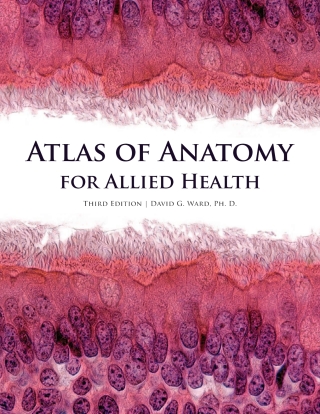 Cover image: Atlas of Anatomy for Allied Health 3rd edition 9781599847184