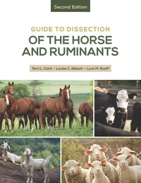 Cover image: Guide to the Dissection of the Horse and Ruminants 2nd edition 9781681350059