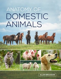 Cover image: Anatomy of Domestic Animals 1st edition 9781599846129