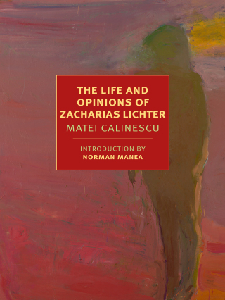 Cover image: The Life and Opinions of Zacharias Lichter 9781681371955
