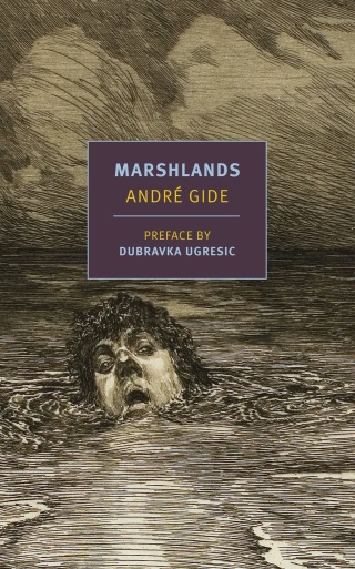 Cover image: Marshlands 9781681374727