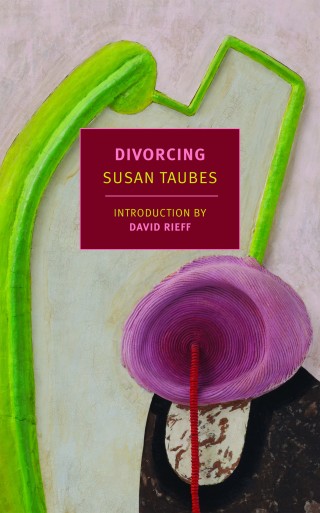 Cover image: Divorcing 9781681374949