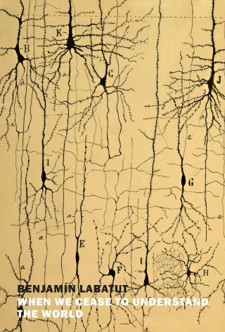 Cover image: When We Cease to Understand the World 9781681375663