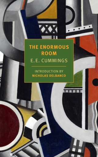 Cover image: The Enormous Room 9781681376196