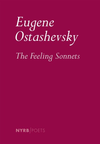 Cover image: The Feeling Sonnets 9781681377025