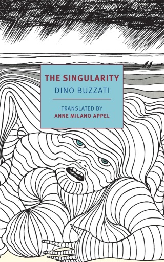 Cover image: The Singularity 9781681378008