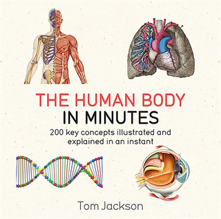Cover image: The Human Body in Minutes 9781681441719