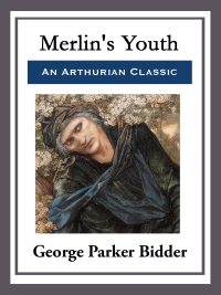 Cover image: Merlin's Youth 9781515403395.0