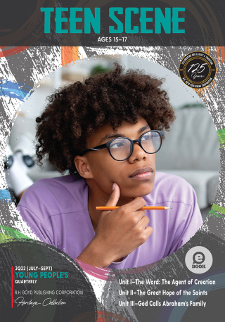Cover image: Teen Scene 9781681679525