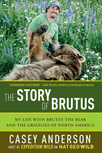 Cover image: The Story of Brutus 9781605982533