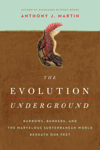 Cover image: The Evolution Underground 9781681776569