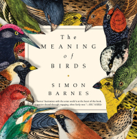 Cover image: The Meaning of Birds 9781643131399