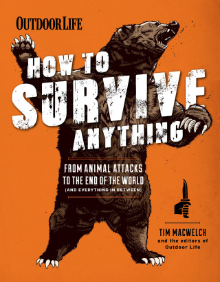 Imagen de portada: How to Survive Anything 9781616288686