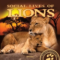 表紙画像: Social Lives of Lions 9781681918006