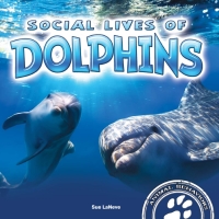 Imagen de portada: Social Lives of Dolphins 9781681918013