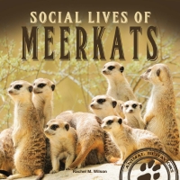 صورة الغلاف: Social Lives of Meerkats 9781681918020