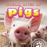 Imagen de portada: Social Lives of Pigs 9781681918044