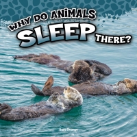 صورة الغلاف: Why Do Animals Sleep There? 9781681918259