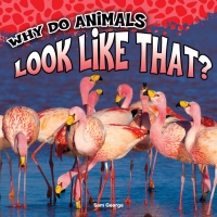 Omslagafbeelding: Why Do Animals Look Like That? 9781681918266