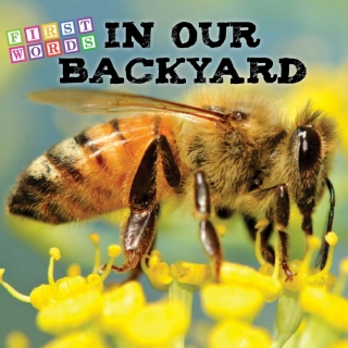 Imagen de portada: In Our Backyard 9781681919829
