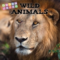 Cover image: Wild Animals 9781681919898