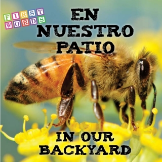 表紙画像: En nuestro patio 9781634308205