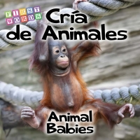 Cover image: Cría de animales 9781634308229