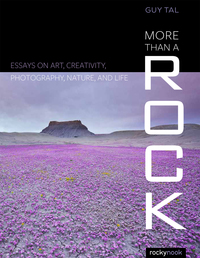 Imagen de portada: More Than a Rock 1st edition 9781937538828