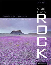 Titelbild: More Than a Rock 1st edition