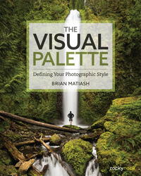 Cover image: The Visual Palette 1st edition 9781937538699