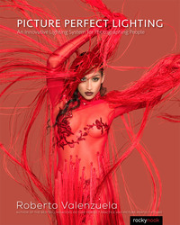 Omslagafbeelding: Picture Perfect Lighting 1st edition 9781937538750