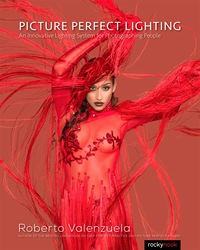 表紙画像: Picture Perfect Lighting 1st edition 9781937538750