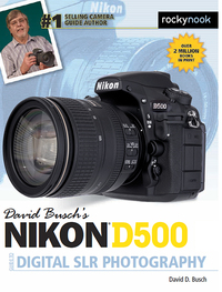 Titelbild: David Busch’s Nikon D500 Guide to Digital SLR Photography 9781681981468