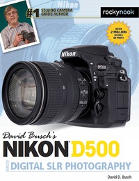 Titelbild: David Busch’s Nikon D500 Guide to Digital SLR Photography 9781681981468
