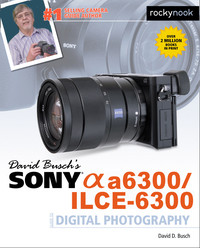 Cover image: David Busch’s Sony Alpha a6300/ILCE-6300 Guide to Digital Photography 9781681981543
