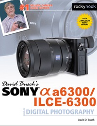 Cover image: David Busch’s Sony Alpha a6300/ILCE-6300 Guide to Digital Photography 9781681981543