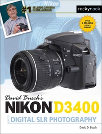 Imagen de portada: David Busch's Nikon D3400 Guide to Digital SLR Photography 9781681982304