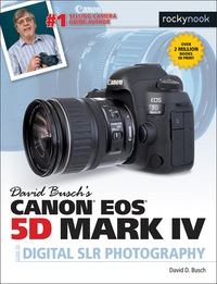 Imagen de portada: David Busch’s Canon EOS 5D Mark IV Guide to Digital SLR Photography 9781681982380