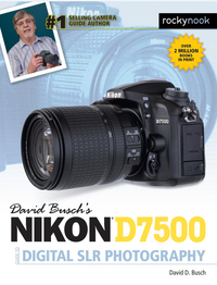 Immagine di copertina: David Busch's Nikon D7500 Guide to Digital SLR Photography 9781681983219