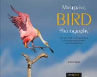Imagen de portada: Mastering Bird Photography 9781681983622