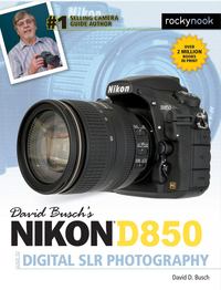 Imagen de portada: David Busch's Nikon D850 Guide to Digital SLR Photography 9781681983660