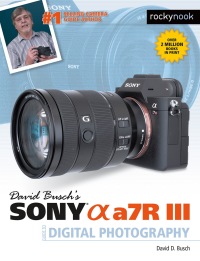 Cover image: David Busch's Sony Alpha a7R III Guide to Digital Photography 9781681983790
