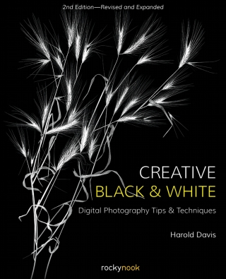 Imagen de portada: Creative Black and White 2nd edition 9781681984964