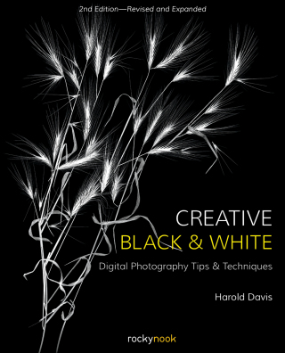 Titelbild: Creative Black and White 2nd edition 9781681984964