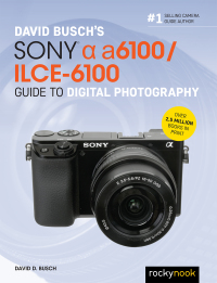 Cover image: David Busch’s Sony Alpha a6100/ILCE-6100 Guide to Digital Photography 9781681985947