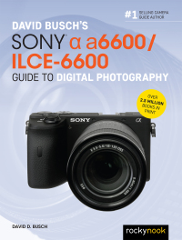 Titelbild: David Busch’s Sony Alpha a6600/ILCE-6600 Guide to Digital Photography 9781681986067